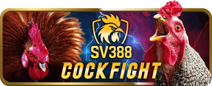 Các chương trình khuyến mãi hấp dẫn tại hi888 casino